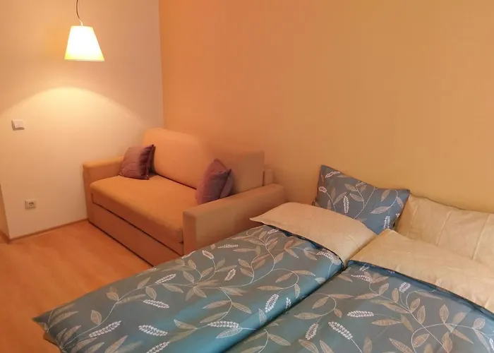 Studio Villa Park 207